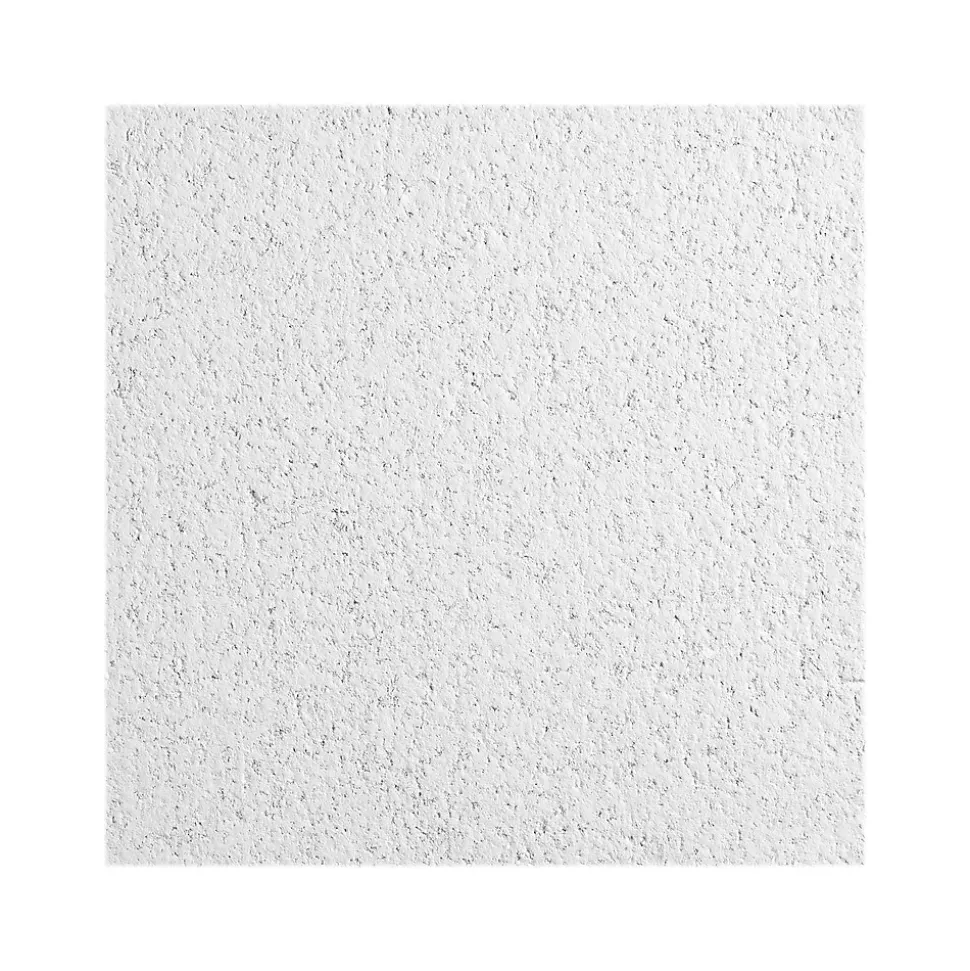 Armstrong CERAMAGUARD Square Edge Ceiling Tile, 24" x 48", White, 6/Carton (BP605C)