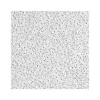 Armstrong CIRRUS High NRC Tegular Edge Ceiling Tile, 24" x 24", White, 10/Carton (BP558E)