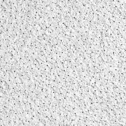 Armstrong CIRRUS High NRC Tegular Edge Ceiling Tile, 24" x 24", White, 10/Carton (BP556E)