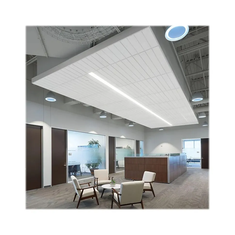Armstrong CIRRUS Second Look Beveled Tegular Edge Ceiling Tile 15/16, 24" x 48", White, 6/Carton (BP513A)