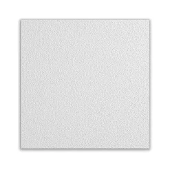 Armstrong CLEAN ROOM VL Square Lay-In Edge Ceiling Tile, 24" x 24", White, 12/Carton (BP868B)