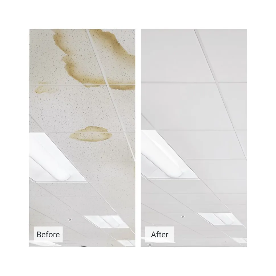 Armstrong CLEAN ROOM VL Square Lay-In Edge Ceiling Tile, 24" x 24", White, 12/Carton (BP868B)