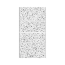 Armstrong CORTEGA Second Look Tegular Edge Ceiling Tile, 24" x 48", White, 10/Carton (BP2767D)