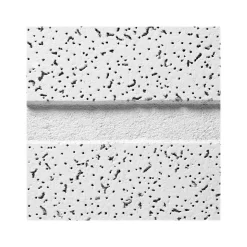 Armstrong CORTEGA Second Look Tegular Edge Ceiling Tile, 24" x 48", White, 10/Carton (BP2767D)