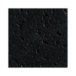Armstrong CORTEGA Square Lay-In Edge Ceiling Tile, 24" x 48", Tech Black, 12/Carton (BP769ABL)