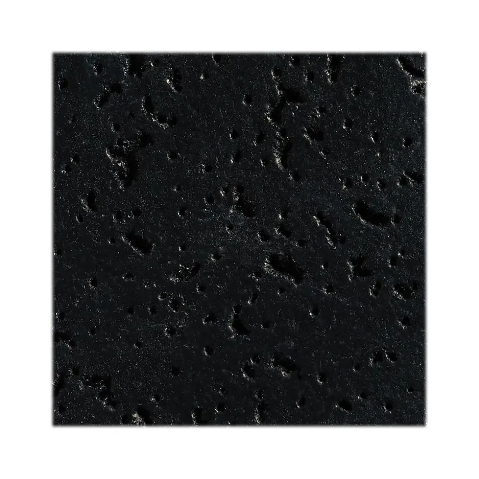 Armstrong CORTEGA Square Lay-In Edge Ceiling Tile, 24" x 48", Tech Black, 12/Carton (BP769ABL)