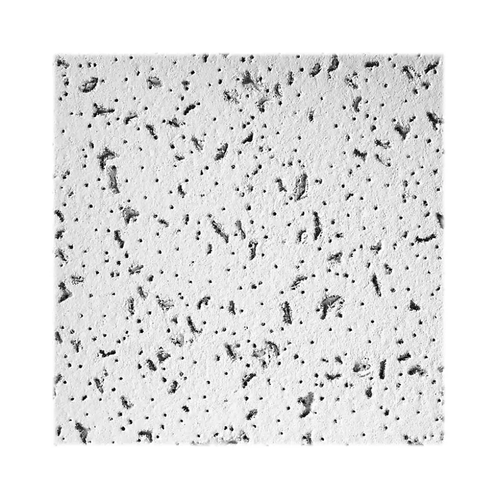 Armstrong CORTEGA Square Lay-In Edge Ceiling Tile, 24" x 48", White, 6/Carton (BP823A)