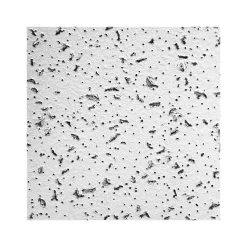 Armstrong CORTEGA Tegular Edge Ceiling Tile, 24" x 24", White, 16/Carton (BP704A)