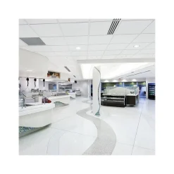 Armstrong DUNE Second Look Tegular Edge Ceiling Tile, 24