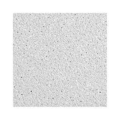 Armstrong DUNE Square Lay-In Edge Ceiling Tile, 24" x 48", White, 8/Carton (BP1773A)
