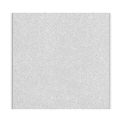 Armstrong DUNE Tegular Edge Ceiling Tile 15/16, 24" x 24", White, 16/Carton (BP1774)