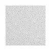 Armstrong DUNE Tegular Edge Ceiling Tile, 24" x 48", White, 8/Carton (BP1776A)