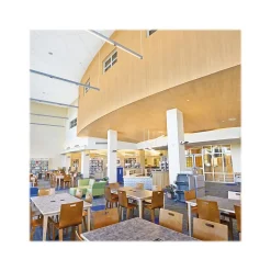 Armstrong FINE FISSURED High NRC Square Lay-In Edge Ceiling Tile, 24" x 24", White, 10/Carton (BP1754B)