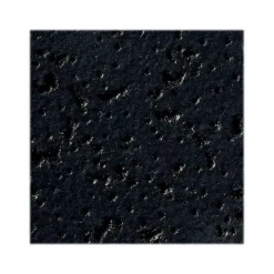 Armstrong FINE FISSURED Square Lay-In Edge Ceiling Tile, 24" x 24", Tech Black, 12/Carton (BP1713BL)