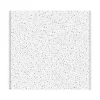 Armstrong FINE FISSURED Square Lay-In Edge Ceiling Tile, 24" x 24", White, 12/Carton (BP1713)