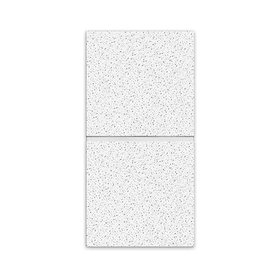 Armstrong FINE FISSURED Second Look I, Angled Tegular Edge Ceiling Tile 15/16, 24" x 48", White, 10/Carton (BP1761C)