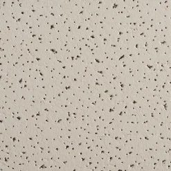 Armstrong FINE FISSURED Square Lay-In Edge Ceiling Tile, 24" x 48", Medium Taupe, 12/Carton (BP1729AMT)