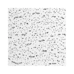 Armstrong FISSURED Square Lay-In Edge Ceiling Tile, 24" x 24", White, 16/Carton (BP896)