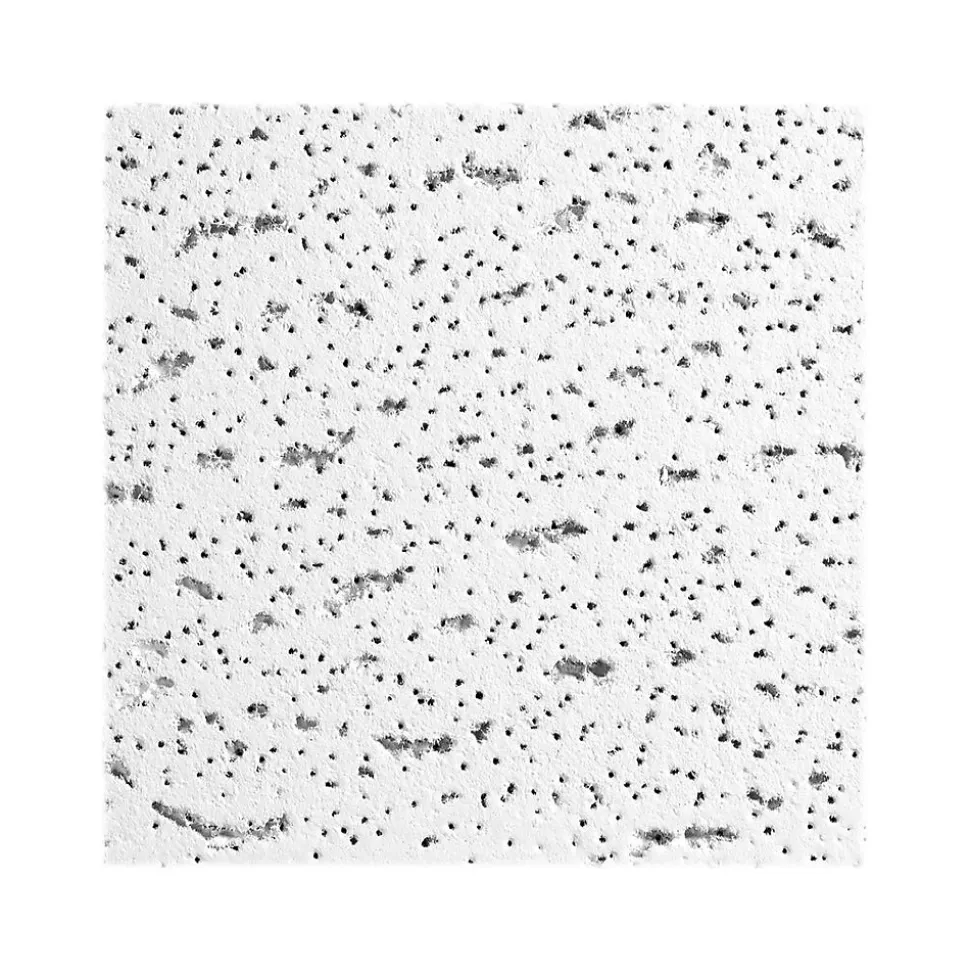 Armstrong FISSURED Square Lay-In Edge Ceiling Tile, 24" x 24", White, 16/Carton (BP896)