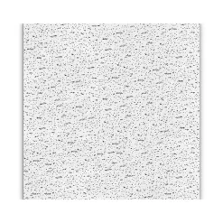 Armstrong FISSURED Square Lay-In Edge Ceiling Tile, 24" x 24", White, 16/Carton (BP756A)