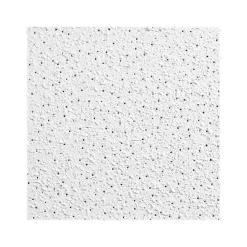 Armstrong GEORGIAN Square Lay-In Edge Ceiling Tile, 24" x 24", White, 16/Carton (BP764C)