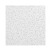 Armstrong GEORGIAN Square Lay-In Edge Ceiling Tile, 24" x 48", White, Dozen (BP763D)