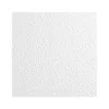 Armstrong KITCHEN ZONE Square Lay-In Edge Ceiling Tile, 24" x 24", White, 16/Carton (BP673)