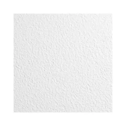Armstrong KITCHEN ZONE Square Lay-In Edge Ceiling Tile, 24" x 48", White, 12/Carton (BP672)
