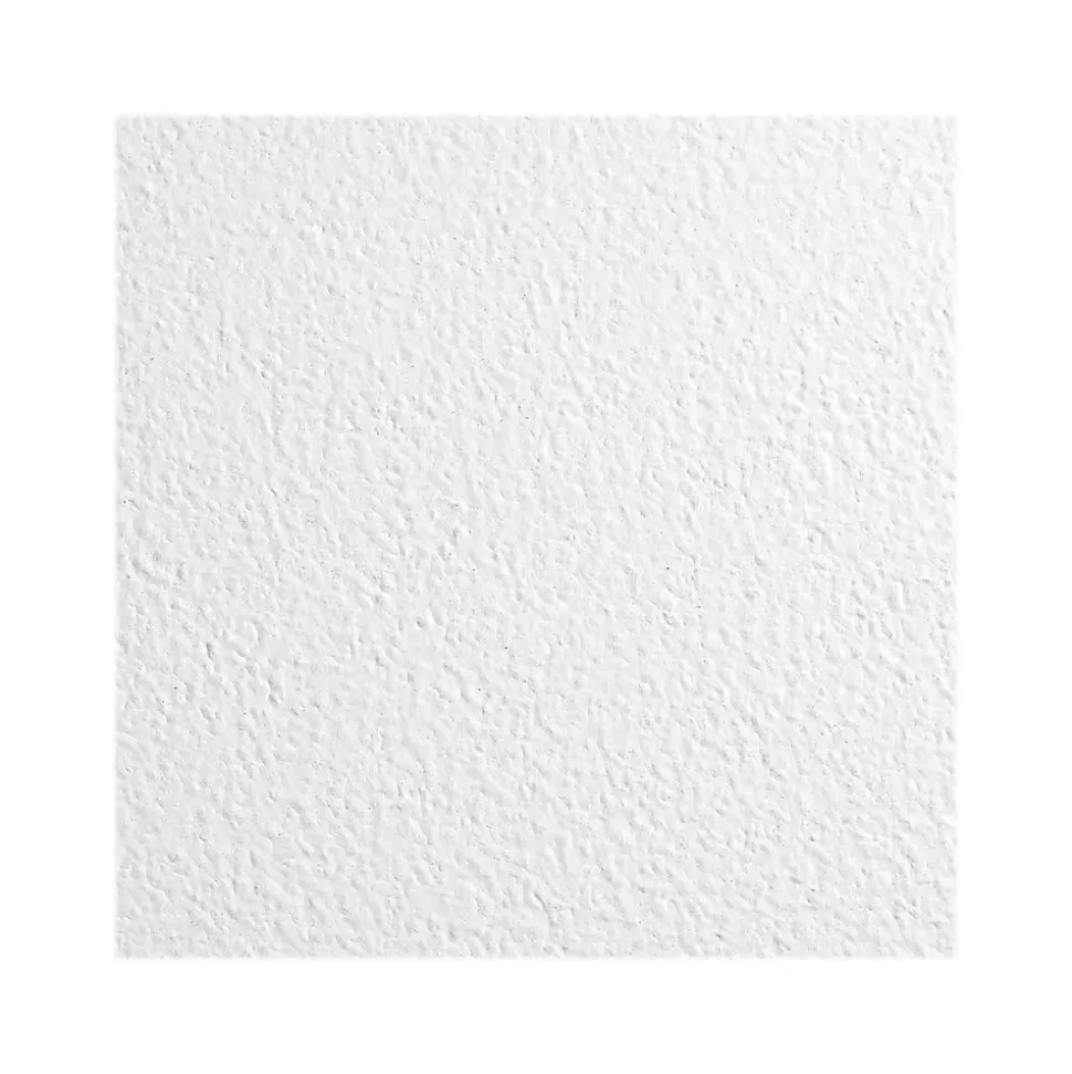 Armstrong KITCHEN ZONE Square Lay-In Edge Ceiling Tile, 24" x 48", White, 12/Carton (BP672)