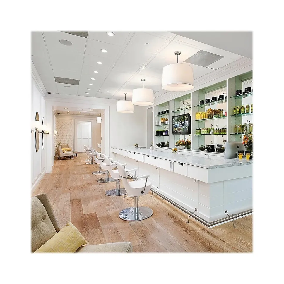 Armstrong LEDGES Tegular Edge Ceiling Tile, 24" x 24", White, 12/Carton (BP303A)