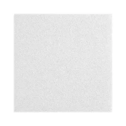 Armstrong LYRA Plant-Based Square Tegular Edge Ceiling Tile 15/16, 24" x 24", White, 12/Carton (BP8360EPB)