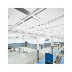 Armstrong OPTIMA & SPECTRA Capz Reverse Tegular Edge Ceiling Tile, 24" x 72", White, 6/Carton (BP3930)