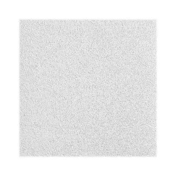 Armstrong OPTIMA Square Tegular Ceiling Tile, 24" x 72", White, 6/Carton (BP3261A)