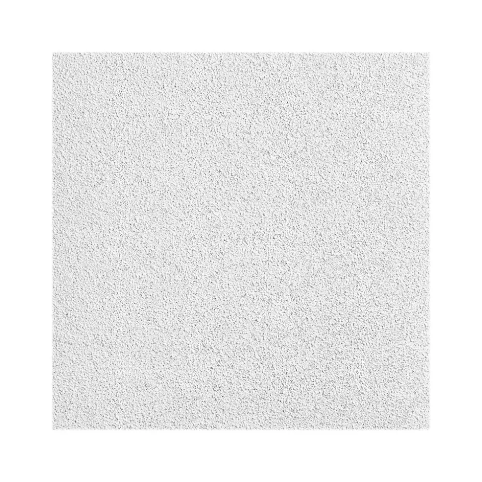 Armstrong OPTIMA Square Tegular Edge Ceiling Tile, 24" x 48", White, 12/Carton (BP3257A)