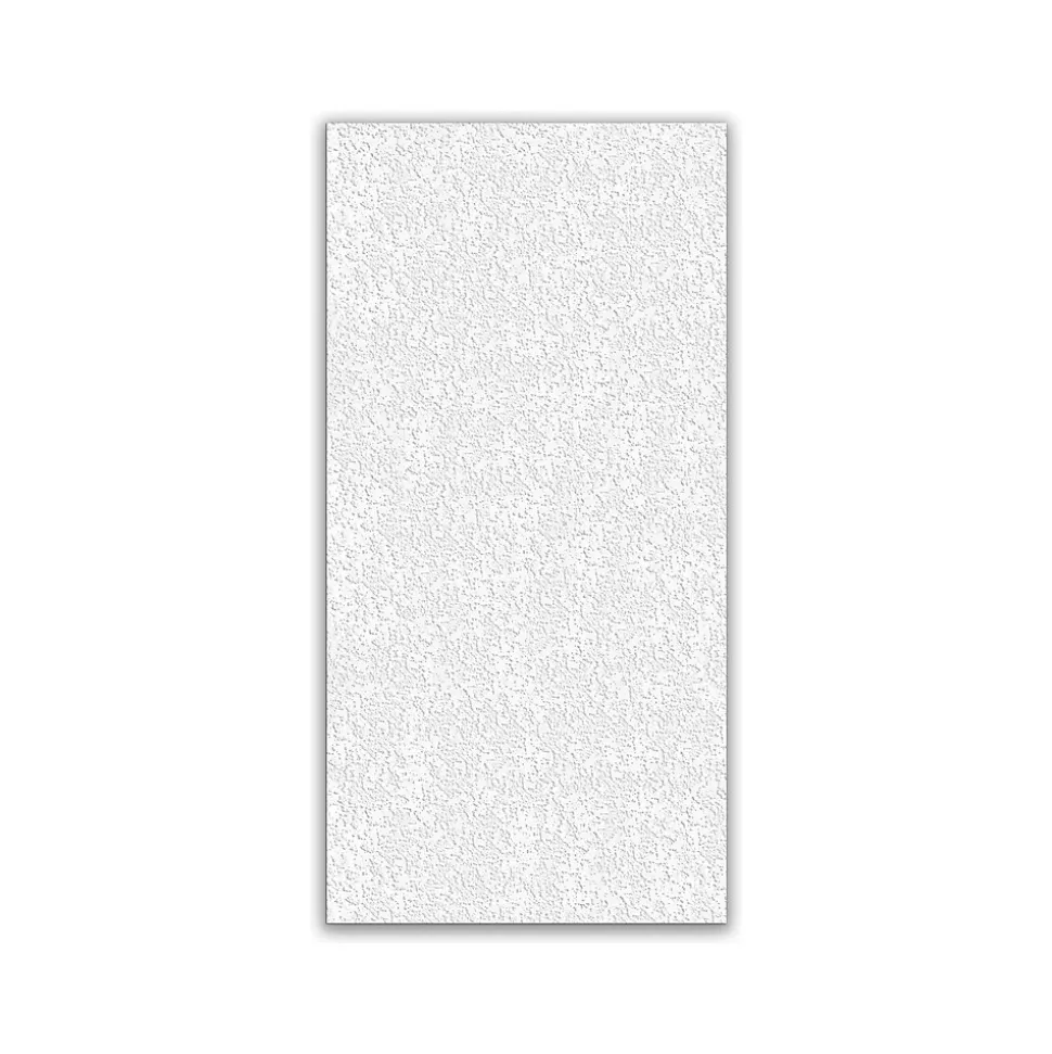 Armstrong RANDOM FISSURED Square Lay-In Edge Perforated Ceiling Tile, 24" x 48", White, 16/Carton (BP2910A)