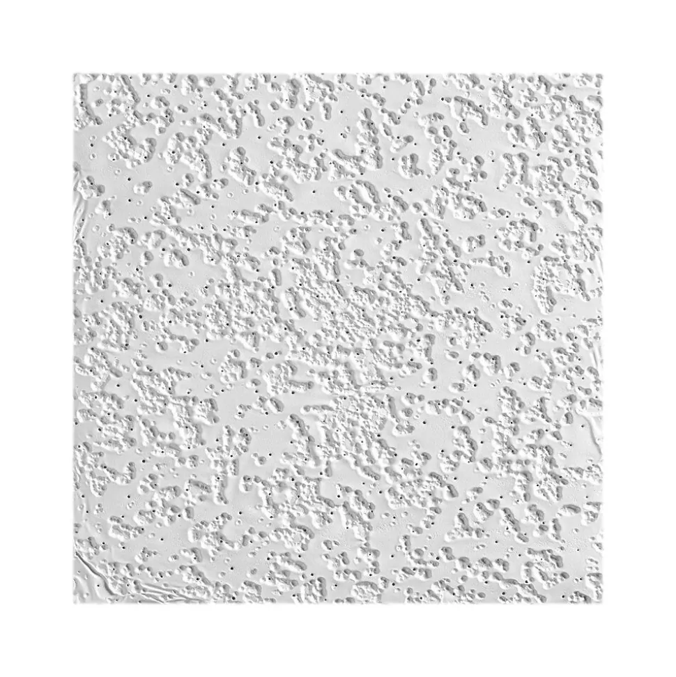 Armstrong RANDOM FISSURED Square Lay-In Edge Perforated Ceiling Tile, 24" x 48", White, 16/Carton (BP2910A)