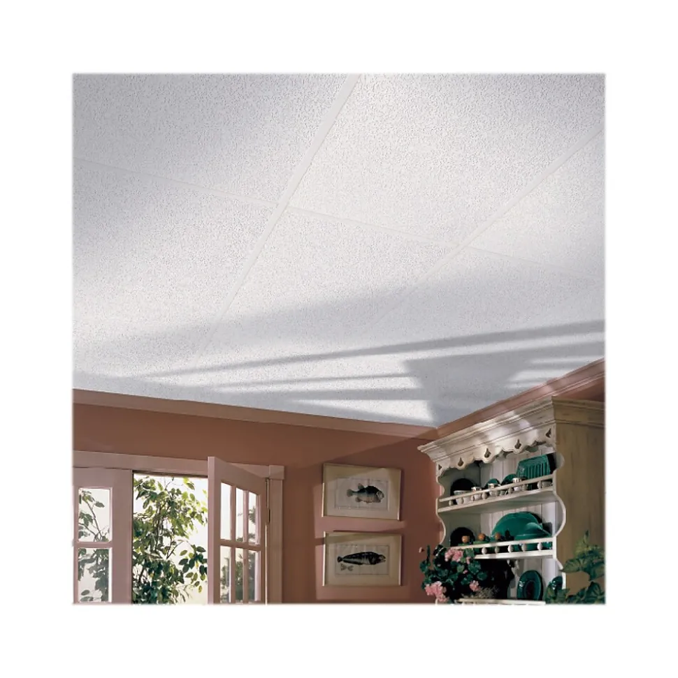 Armstrong RANDOM FISSURED Square Lay-In Edge Perforated Ceiling Tile, 24" x 48", White, 16/Carton (BP2910A)