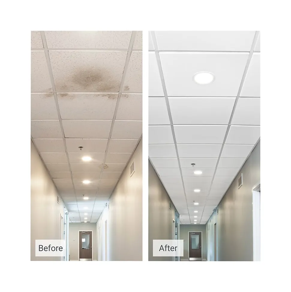 Armstrong ULTIMA Beveled Tegular Edge Ceiling Tile, 24" x 24", White, 12/Carton (BP1911A)