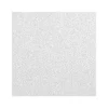 Armstrong ULTIMA Health Zone Beveled Tegular Edge Ceiling Tile, 24" x 24", White, 10/Carton (BP1446)