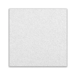 Armstrong ULTIMA Square Edge Ceiling Tile, 24" x 24", White, 12/Carton (BP1910A)