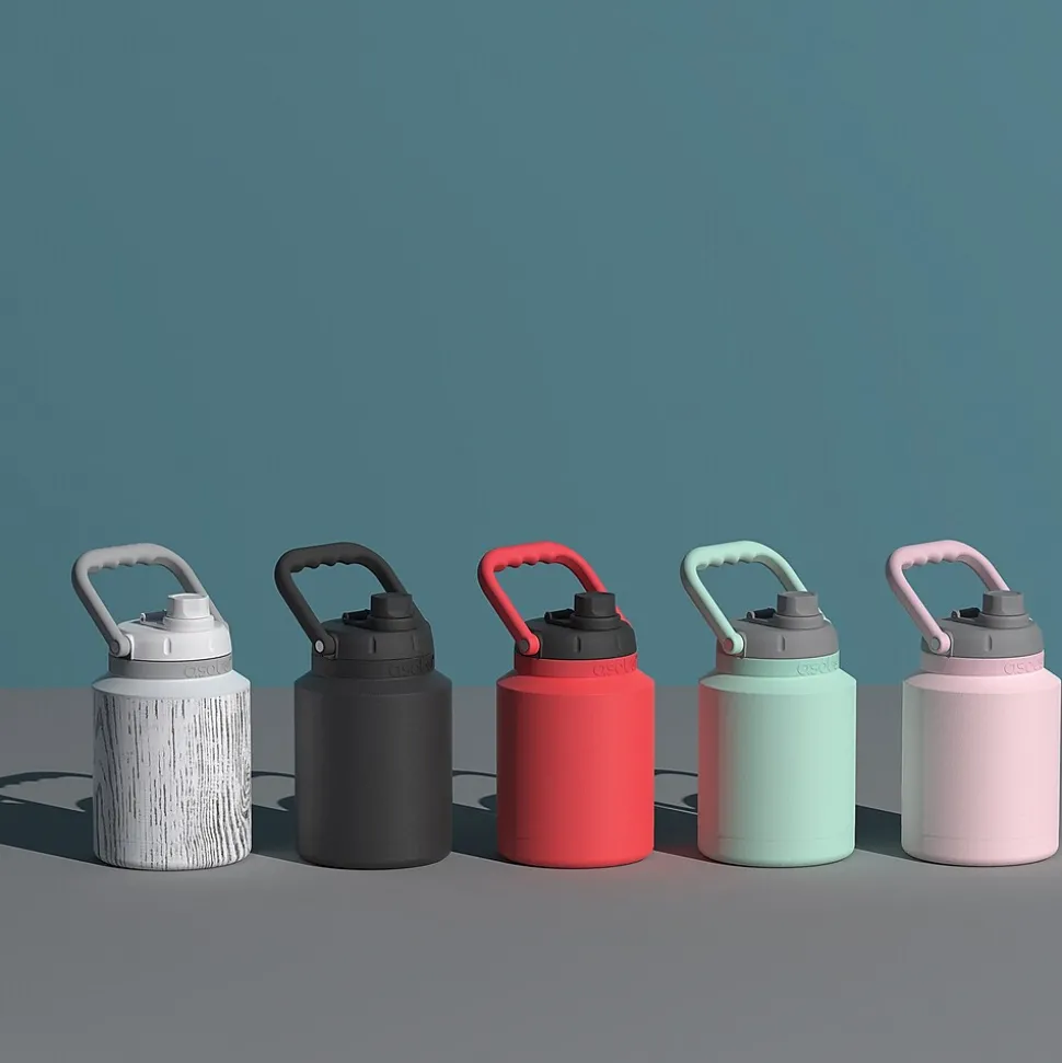 ASOBU Stainless Steel Insulated Mini Jug, 33 oz., Mint (NA-SJU3MINT)