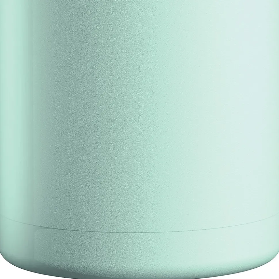 ASOBU Stainless Steel Insulated Mini Jug, 33 oz., Mint (NA-SJU3MINT)