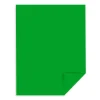 Astrobrights 65 lb. Cardstock Paper, 8.5" x 11", Gamma Green, 2,000 Sheets/Carton (22741CT)