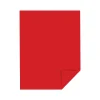 Astrobrights 65 lb. Cardstock Paper, 8.5" x 11", Re-Entry Red, 250 Sheets/Pack (22751)