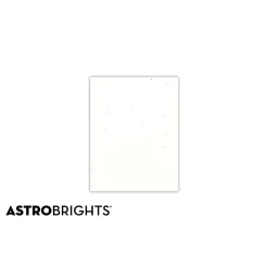 Astrobrights 8.5" x 11" Multipurpose Paper, 24 lbs., 87 Brightness, 500 Sheets/Ream (22301)