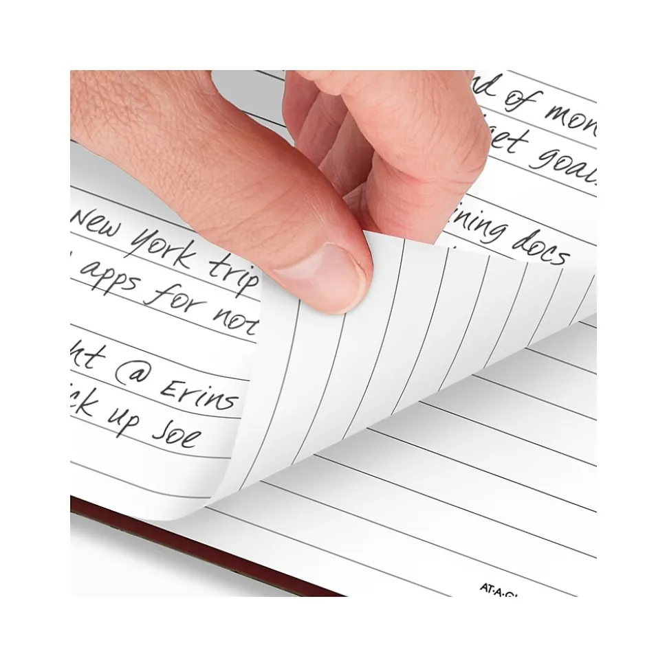 AT-A-GLANCE Standard Hardcover 2025 Daily Diary, 7.5" x 9.5", Ruled, Red (SD374-13-25)