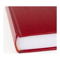 AT-A-GLANCE Standard Hardcover 2025 Daily Diary, 7.5