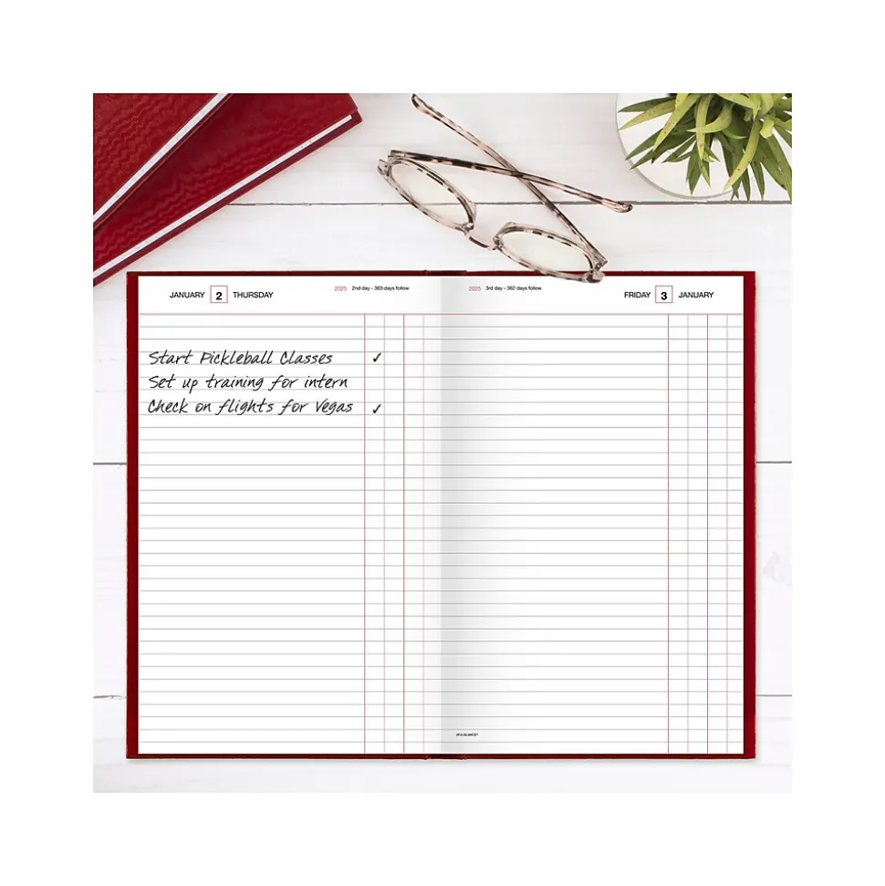 AT-A-GLANCE Standard Hardcover 2025 Daily Diary, 7.75" x 12", Ruled, Red (SD377-13-25)