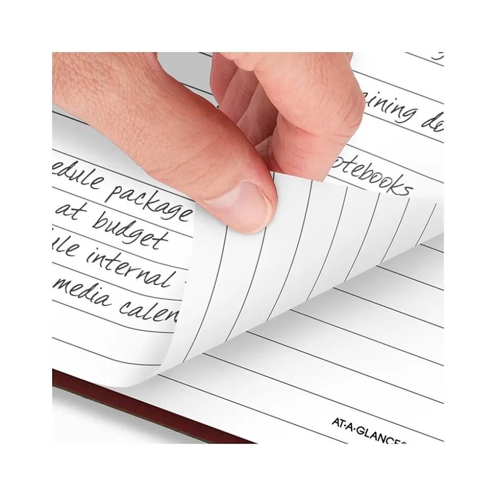 AT-A-GLANCE Standard Hardcover 2025 Daily Reminder, 5.75" x 8.25", Red (SD389-13-25)