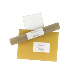 Avery Computer Labels, Dot Matrix Labels and Pin-Feed Labels, 2-15/16" x 5", White, 3,000 Labels/Pack (4076)